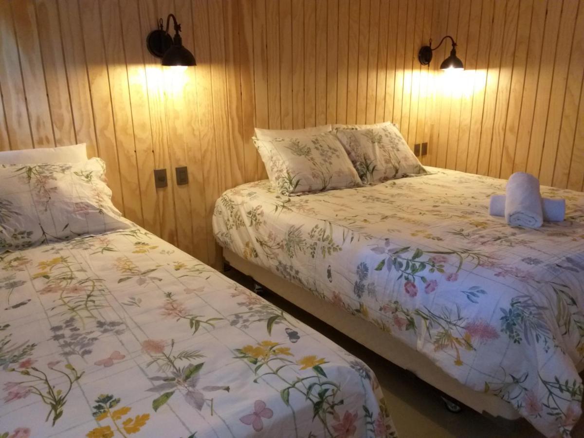 蓬塔阿雷纳斯 帕尔多与沙克尔顿旅馆酒店 外观 照片